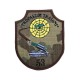 Emblema Regiment 53 Rachete Antiaeriene